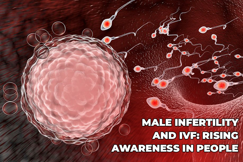Male Infertility and IVF: Rising Awareness in People